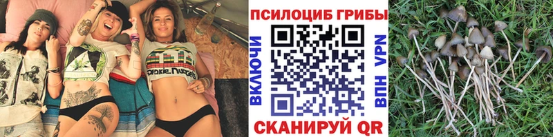 Галлюциногенные грибы GOLDEN TEACHER где найти наркотики Стрежевой